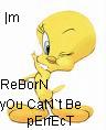 ReBorN